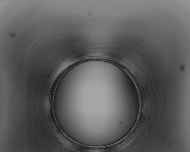 X0000097981458200804011733