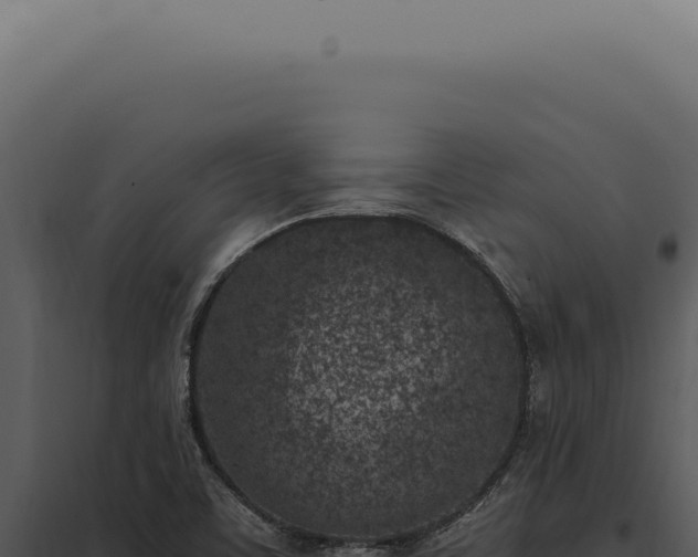 X0000097981459200804011733