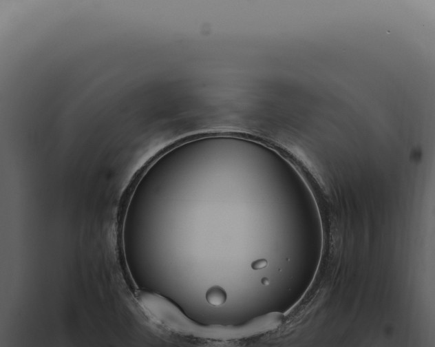 X0000097981460200804011733