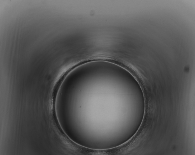 X0000097981461200804011733