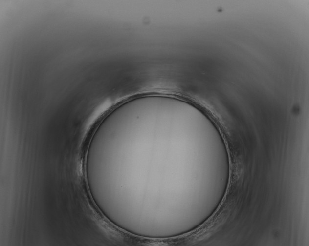 X0000097981462200804011733
