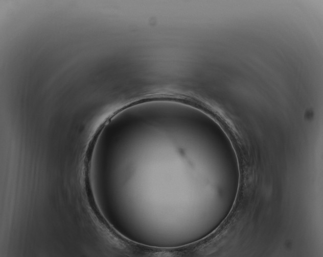 X0000097981463200804011733