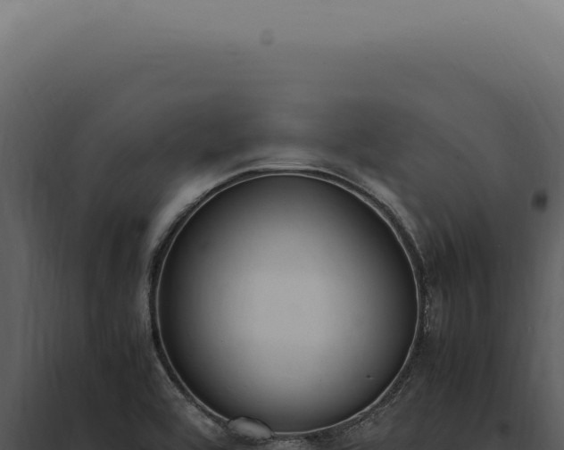 X0000097981464200804011733