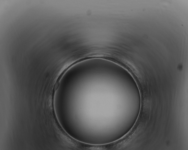 X0000097981465200804011733