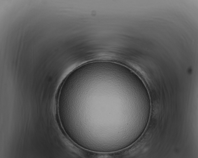 X0000097981467200804011733