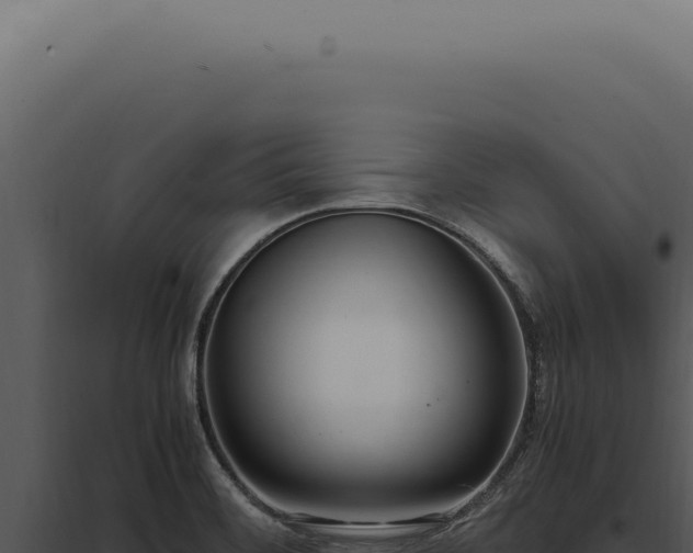 X0000097981468200804011733
