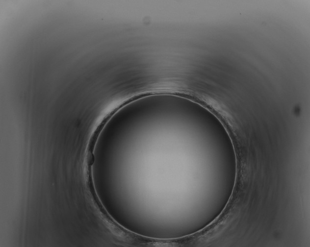 X0000097981469200804011733
