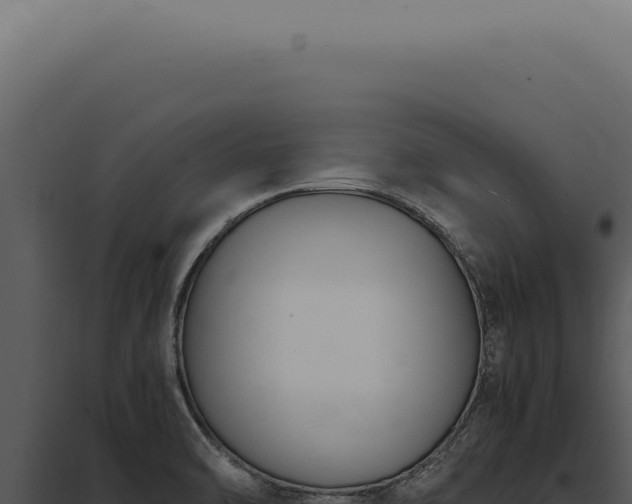X0000097981470200804011733