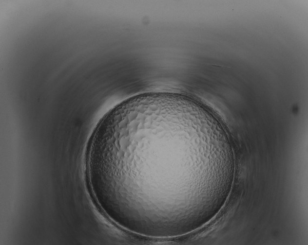 X0000097981471200804011733