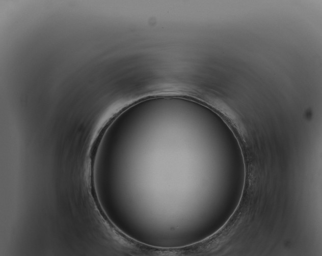 X0000097981472200804011733