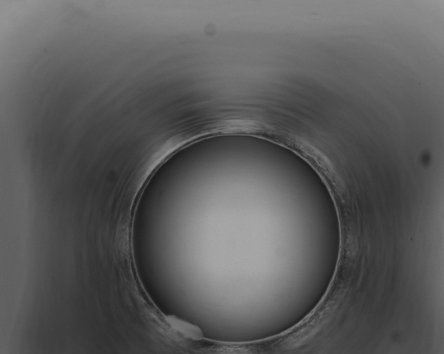 X0000097981473200804011733