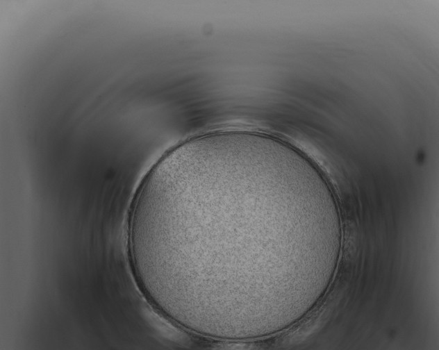 X0000097981474200804011733