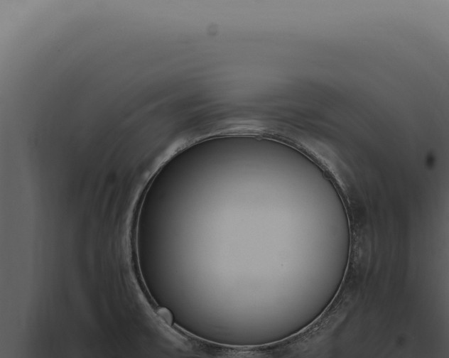X0000097981475200804011733
