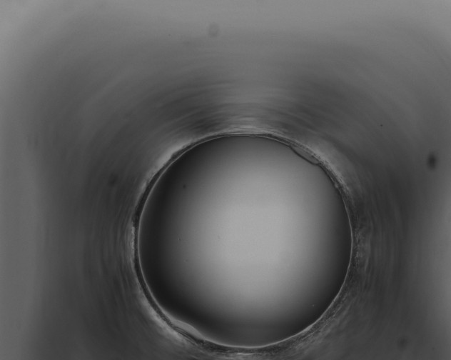 X0000097981476200804011733