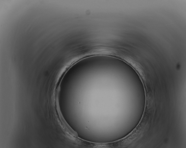 X0000097981477200804011733