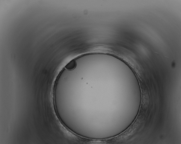 X0000097981478200804011733