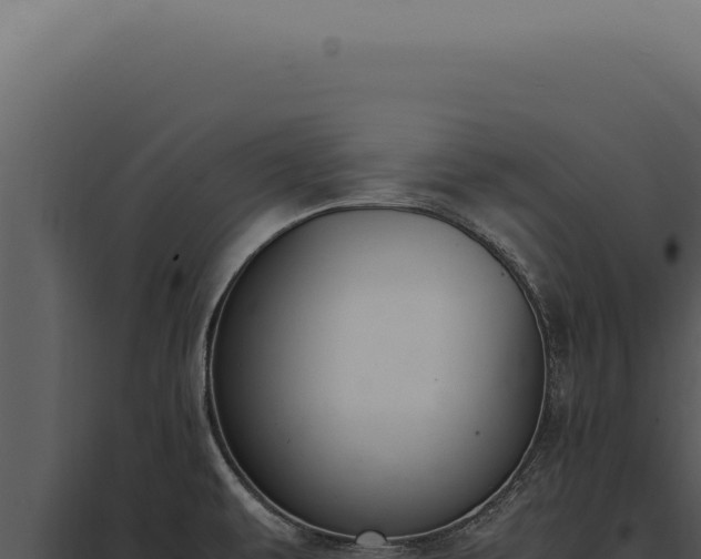 X0000097981479200804011733