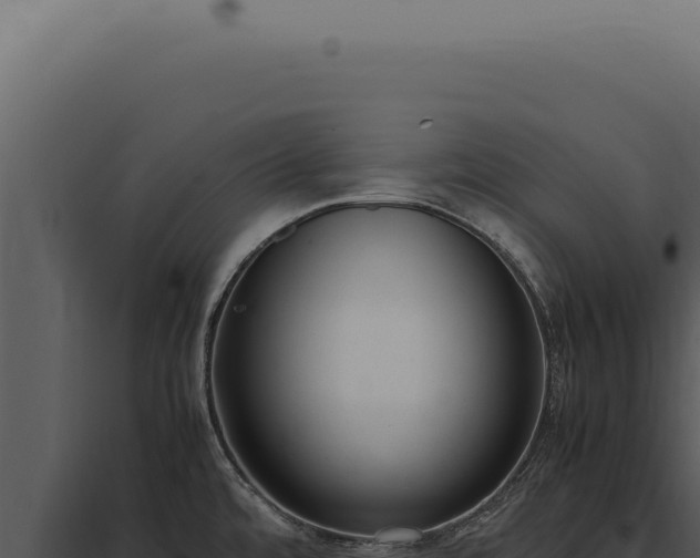 X0000097981480200804011733