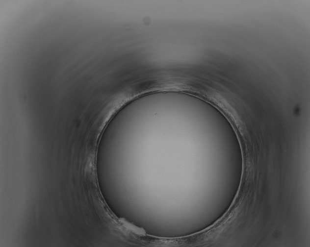 X0000097981481200804011733