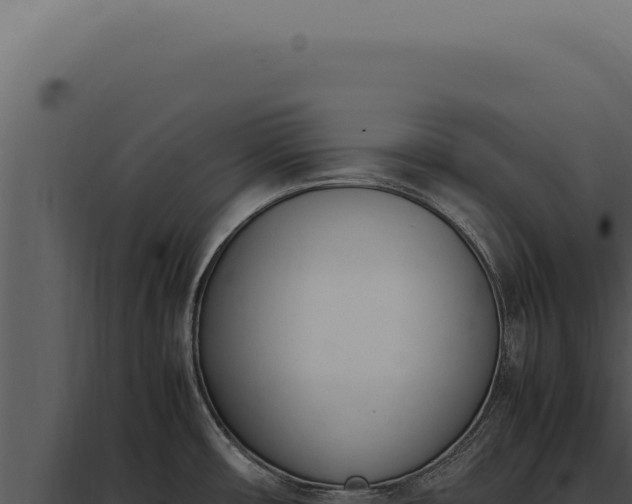 X0000097981482200804011733