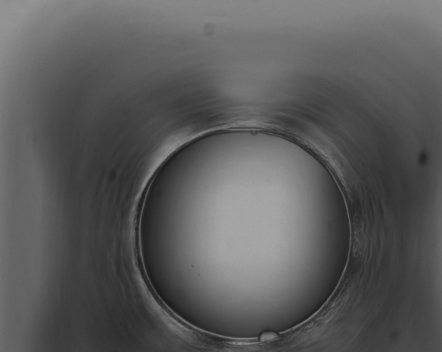 X0000097981483200804011733