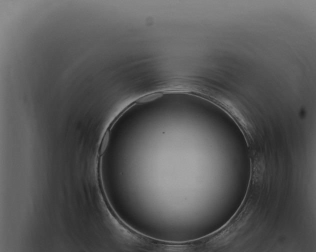 X0000097981484200804011733