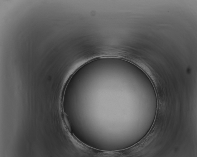 X0000097981485200804011733