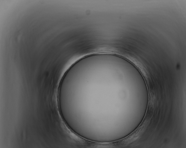 X0000097981486200804011733