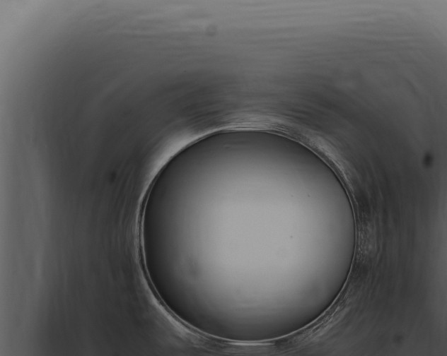 X0000097981487200804011733