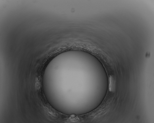 X0000097981491200804011732