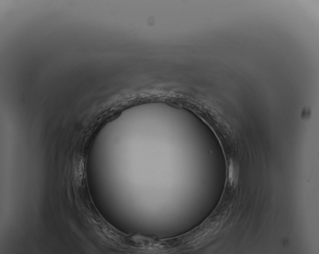 X0000097981492200804011732