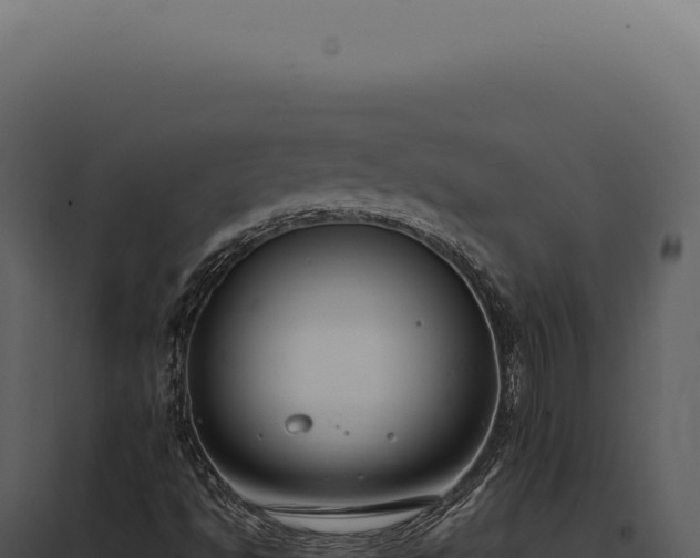 X0000097981494200804011732