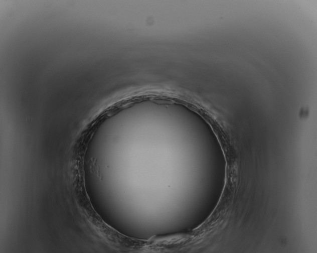 X0000097981496200804011732
