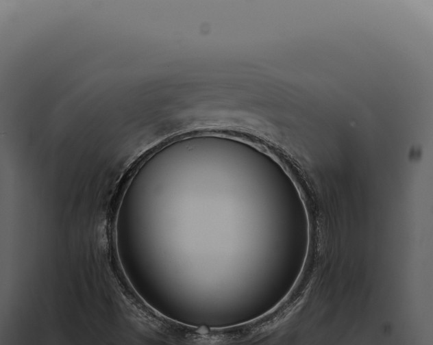 X0000097981497200804011732
