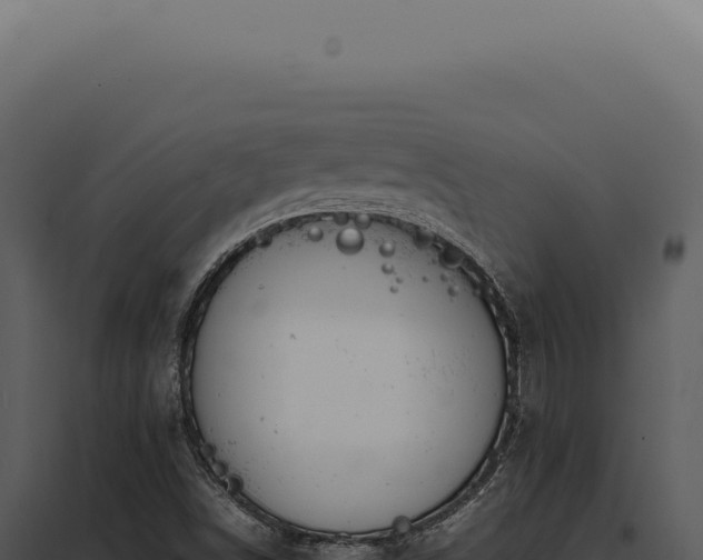 X0000097981498200804011732