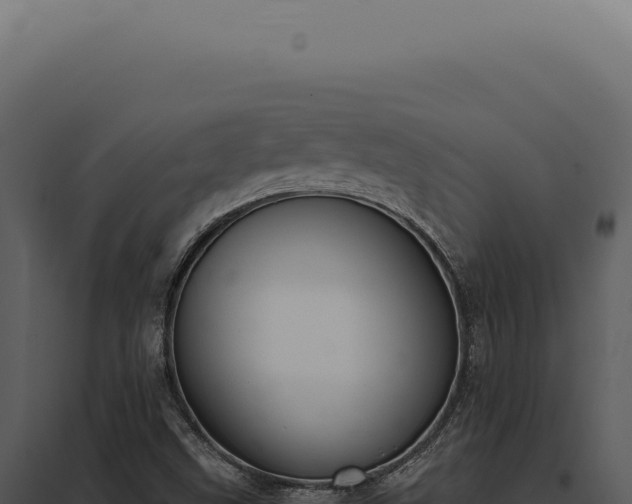 X0000097981499200804011732