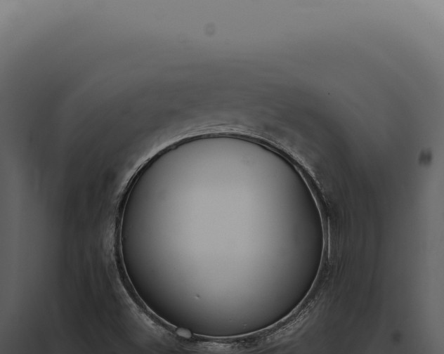 X0000097981500200804011732