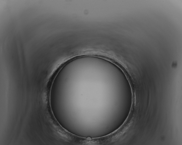 X0000097981501200804011732