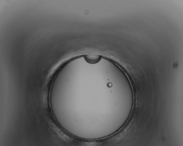 X0000097981502200804011732