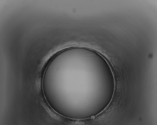 X0000097981503200804011732