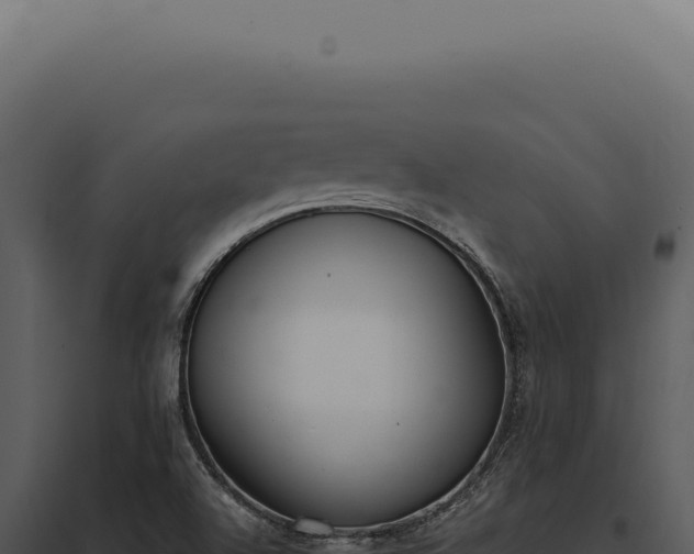 X0000097981504200804011732