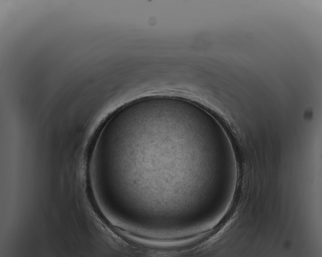 X0000097981506200804011732