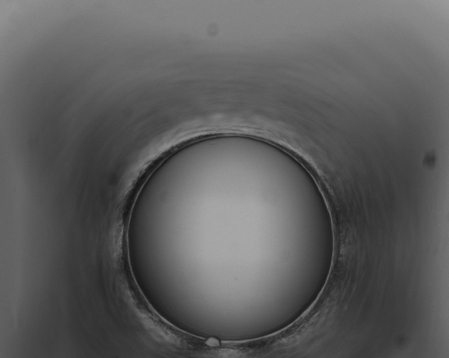 X0000097981507200804011732