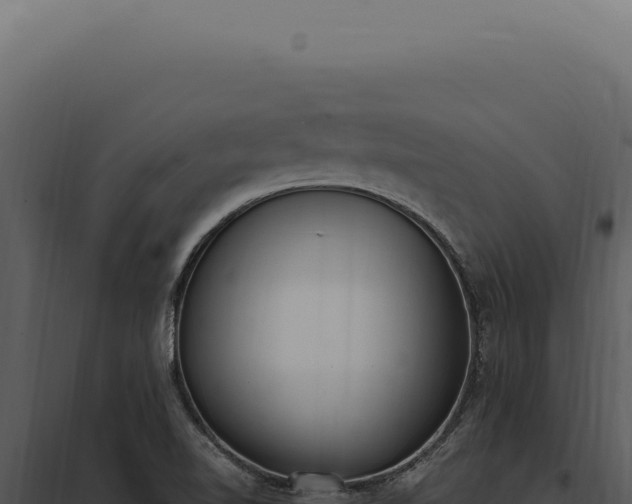 X0000097981510200804011732