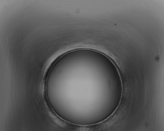 X0000097981511200804011732