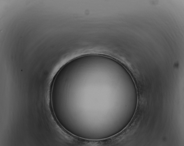 X0000097981512200804011732