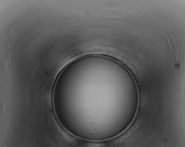 X0000097981513200804011732