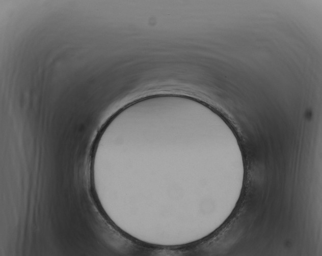 X0000097981514200804011732