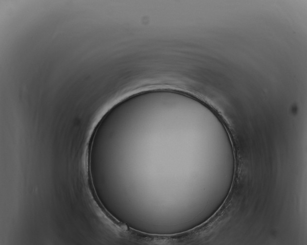 X0000097981516200804011732