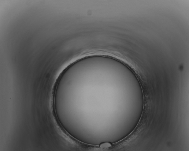 X0000097981518200804011732